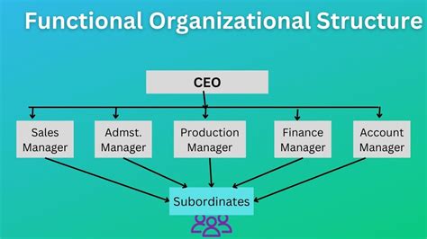 vavob|Organisational structure